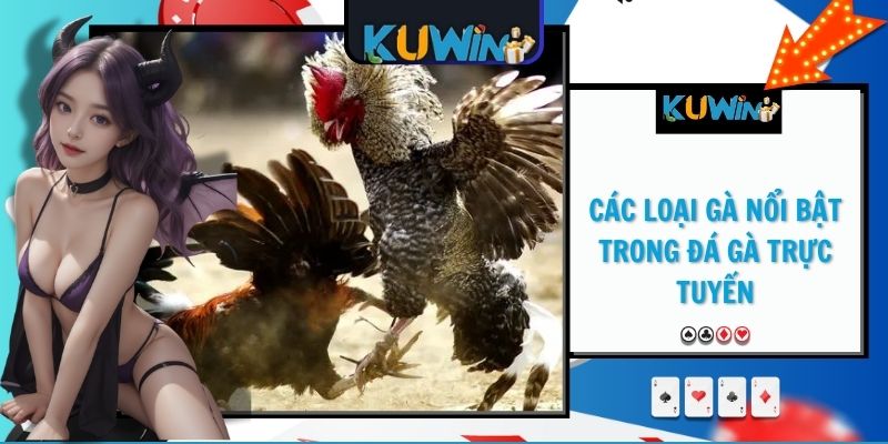 Các loại gà nổi bật trong đá gà trực tuyến